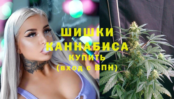 дживик Абинск