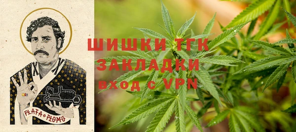 СК Алзамай