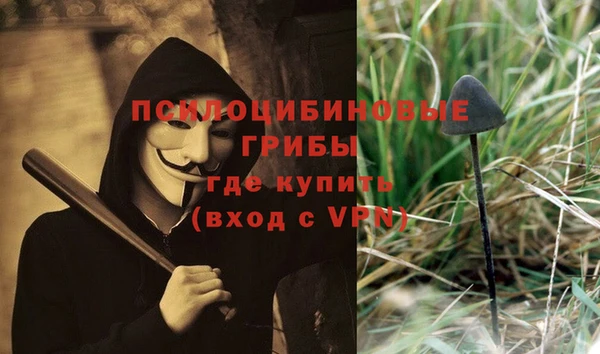 ECSTASY Абаза